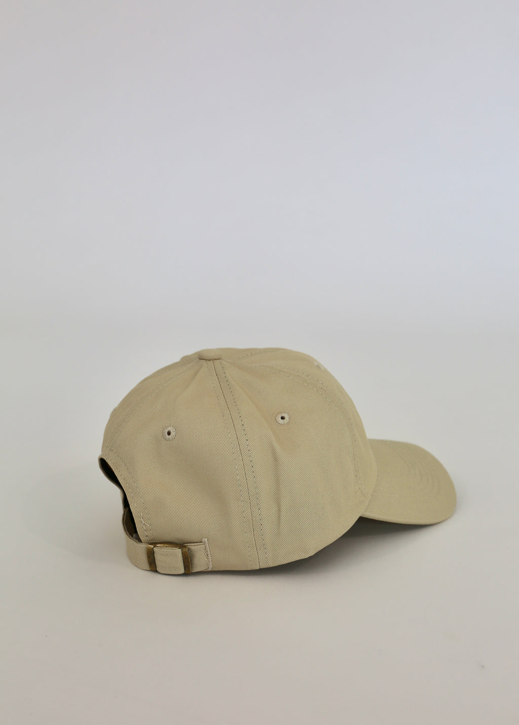 Shmoozing Dad Hat