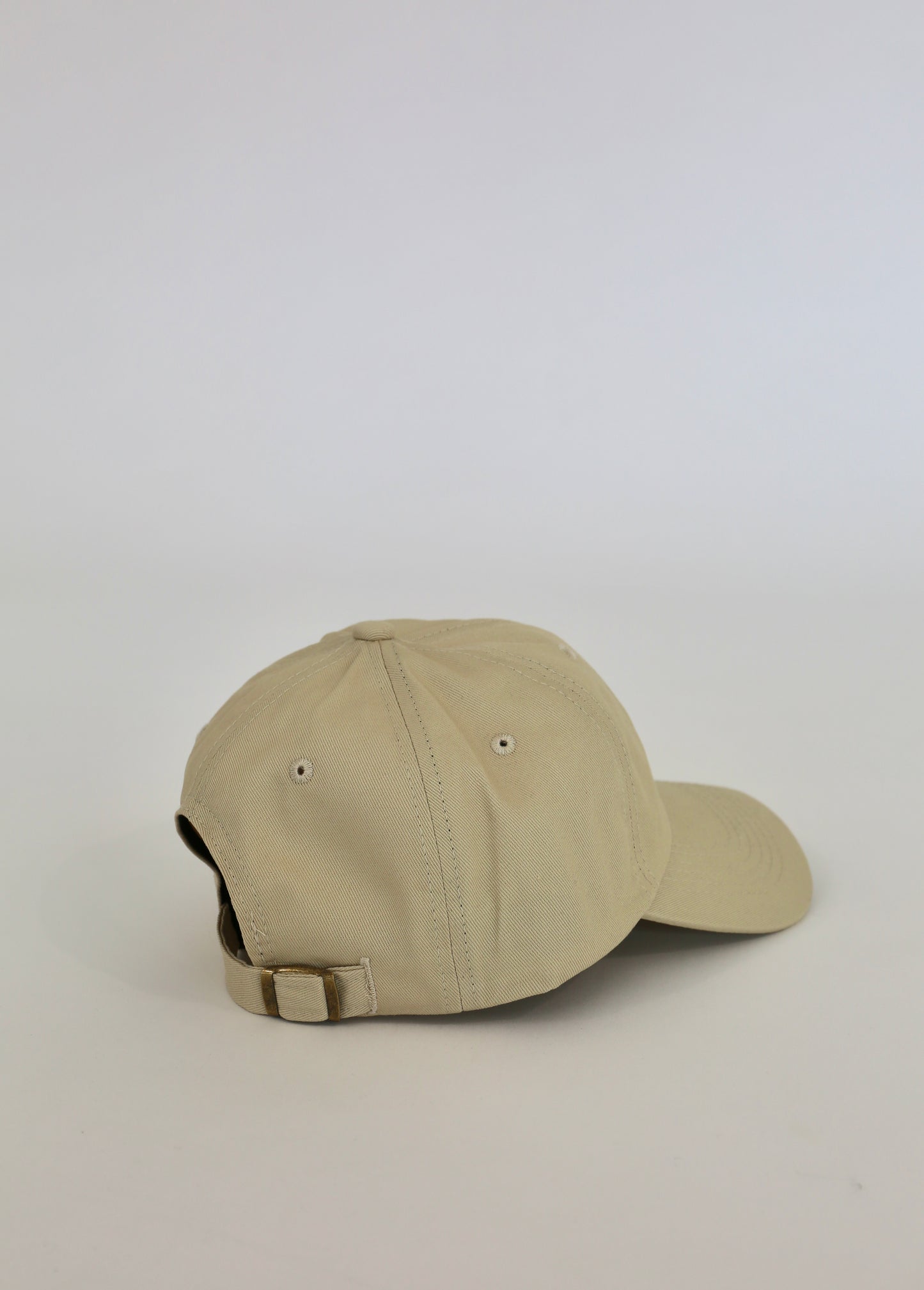 Shmoozing Dad Hat